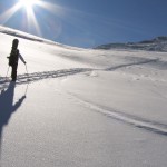 Snowboardtour Silvretta